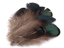 Pheasant feathers (10pcs) green, length 4.5-9 cm
