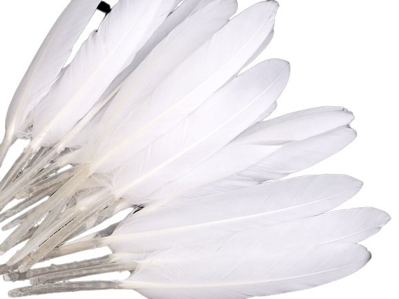 Duck Feathers (5pcs), White, Length 9-14 cm