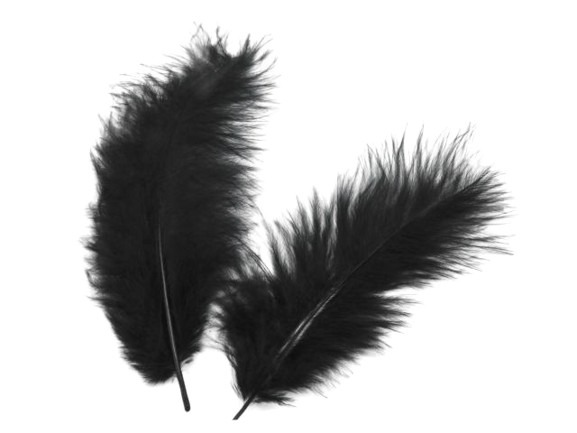 Pióra (5szt.), czarny, długość 9-14 cm