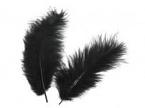 Peří (5ks), černá, délka 9-14 cm