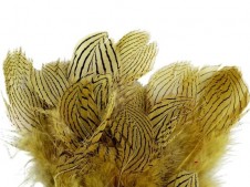 Bažantí peří (10ks) hořčicová, délka 5-11 cm