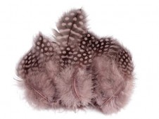 Slepičí peří (5ks) délka 8-13 cm růžová