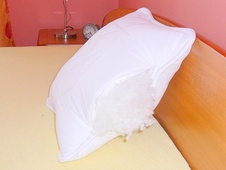 Pillow 40x40 cm - Polštář 40x40 cm