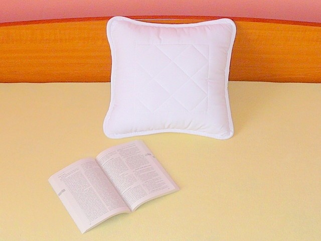 Pillow 40x40 cm
